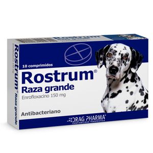 ROSTRUM 150 MG ESTICHE X 10 COMP.