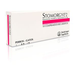 STOMORGYL 2 CAJA X 10 COMP.